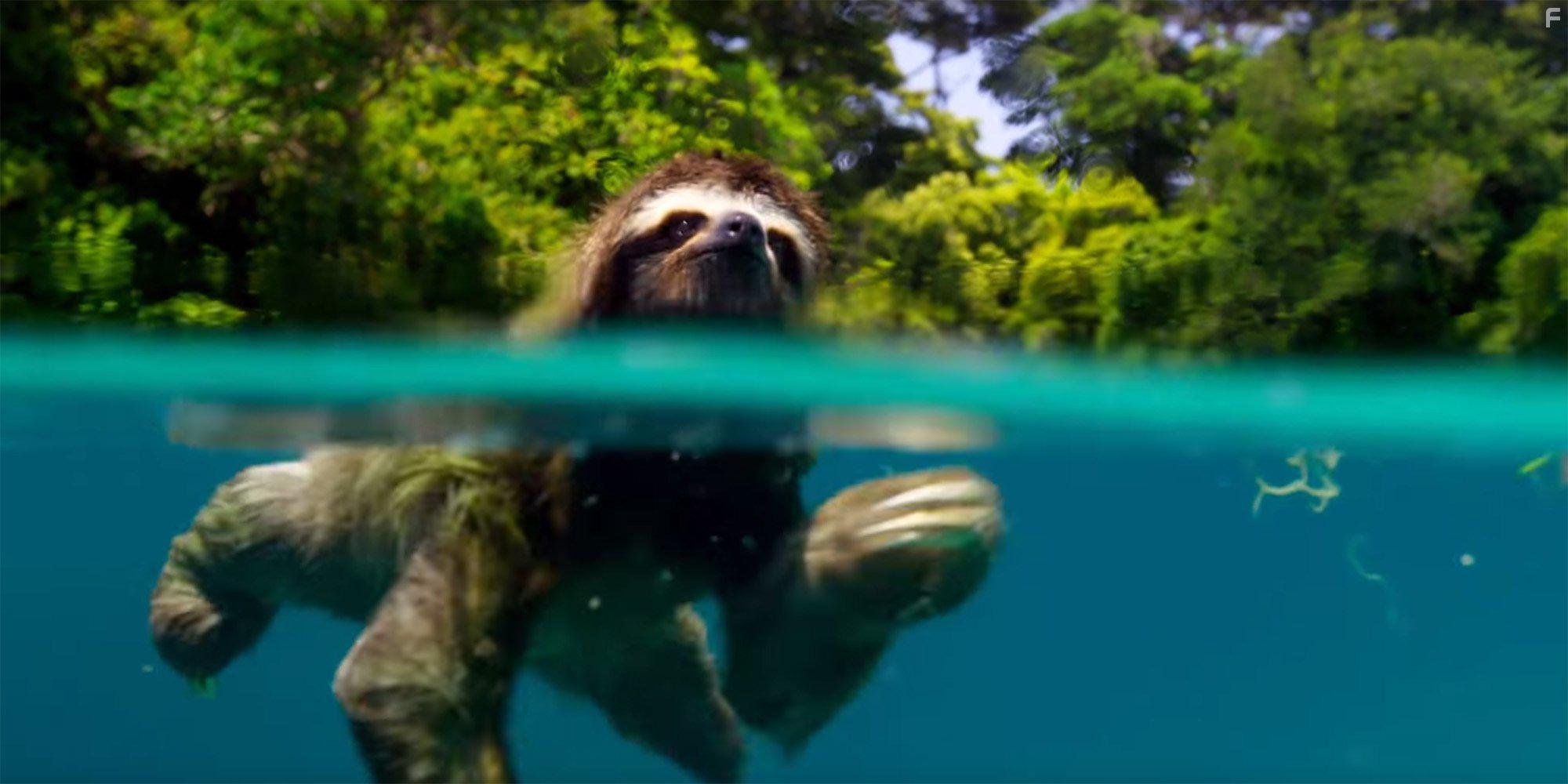 Planet Earth II (2016)