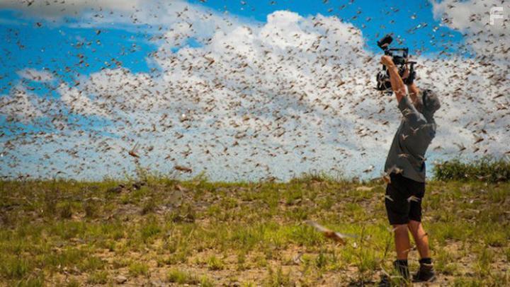 Planet Earth II (2016)