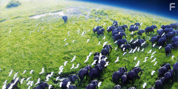 Planet Earth II (2016)