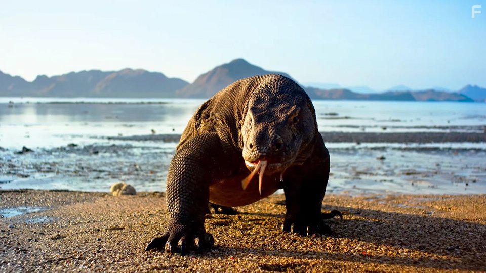 Planet Earth II (2016)