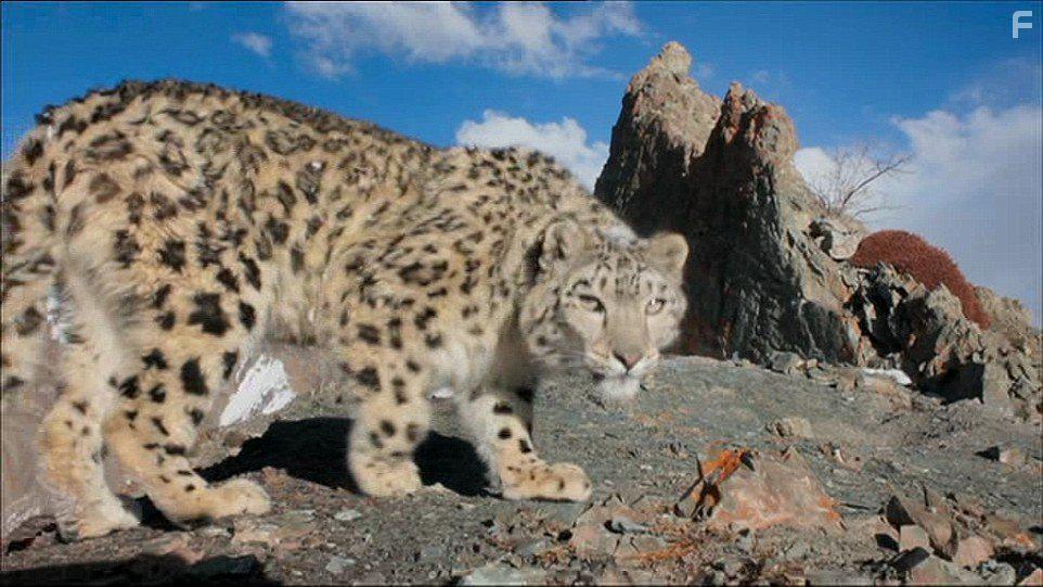 Planet Earth II (2016)