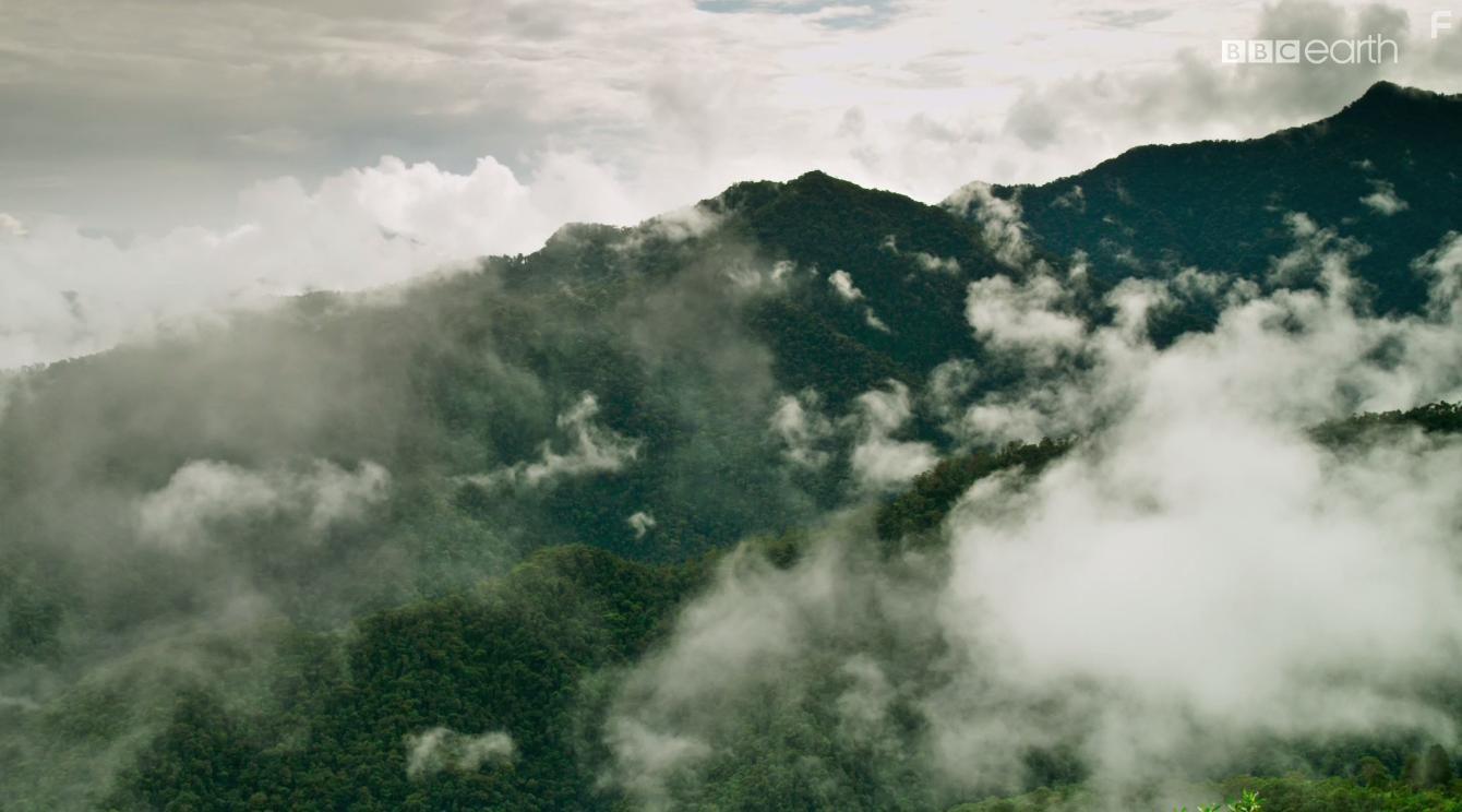 Planet Earth II (2016)