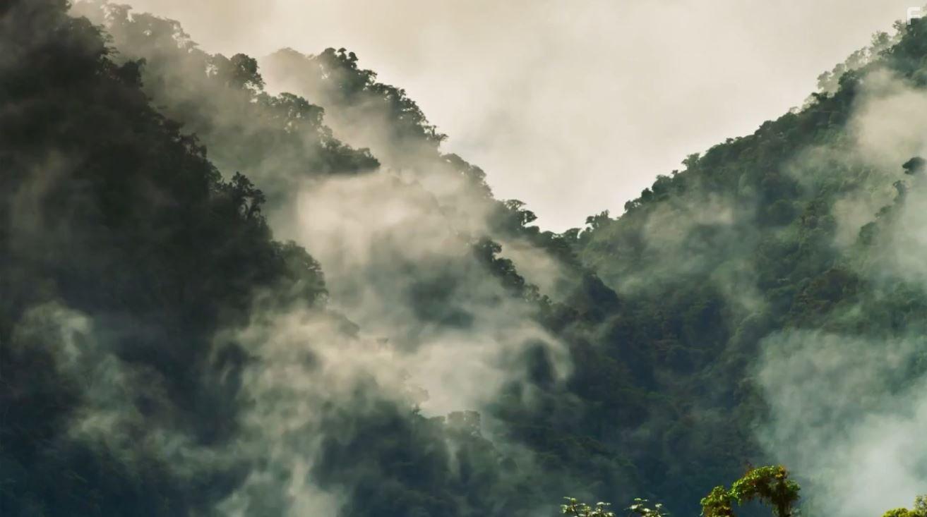 Planet Earth II (2016)