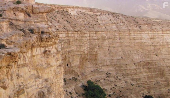 David Attenborough in Planet Earth II (2016)