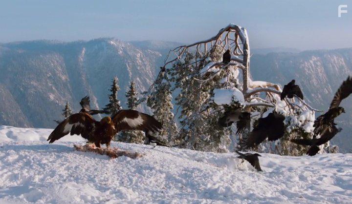 David Attenborough in Planet Earth II (2016)