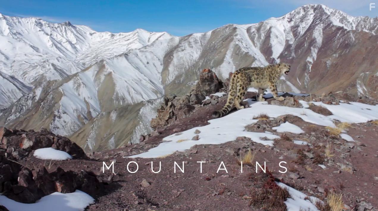 Planet Earth II (2016)