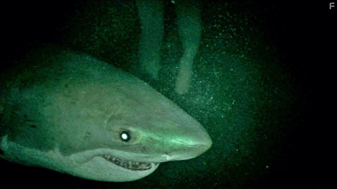 Над глубиной: Хроника выживания