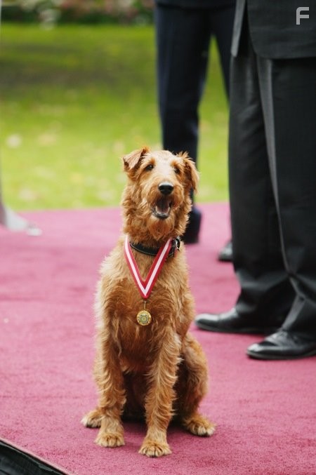 Пожарный пес