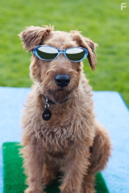 Пожарный пес (2007)