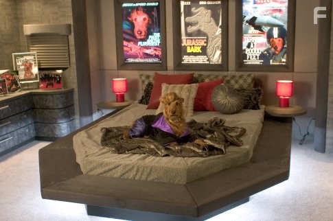 Пожарный пес (2007)