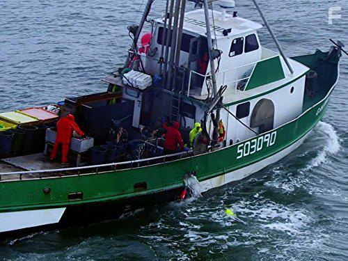 Deadliest Catch: Dungeon Cove (2016)