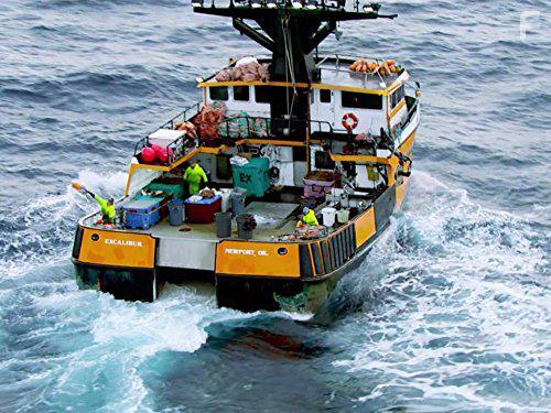 Deadliest Catch: Dungeon Cove (2016)