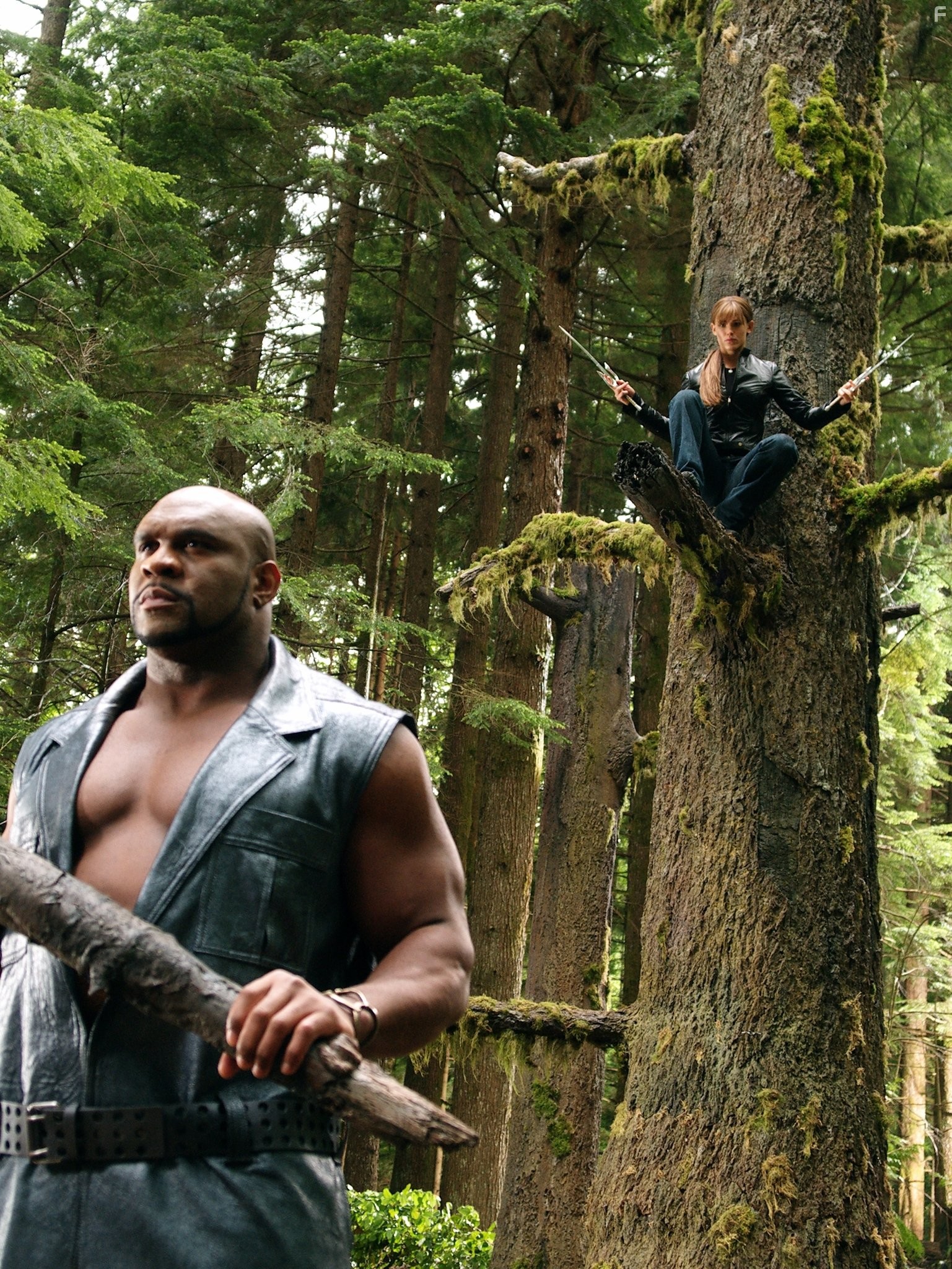 Jennifer Garner and Bob Sapp in Электра (2005)