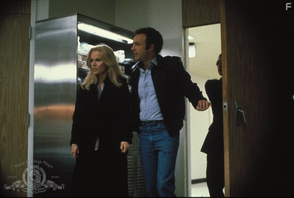 James Caan and Tuesday Weld in Boр (1981)