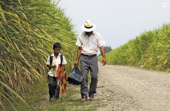 Земля и тень