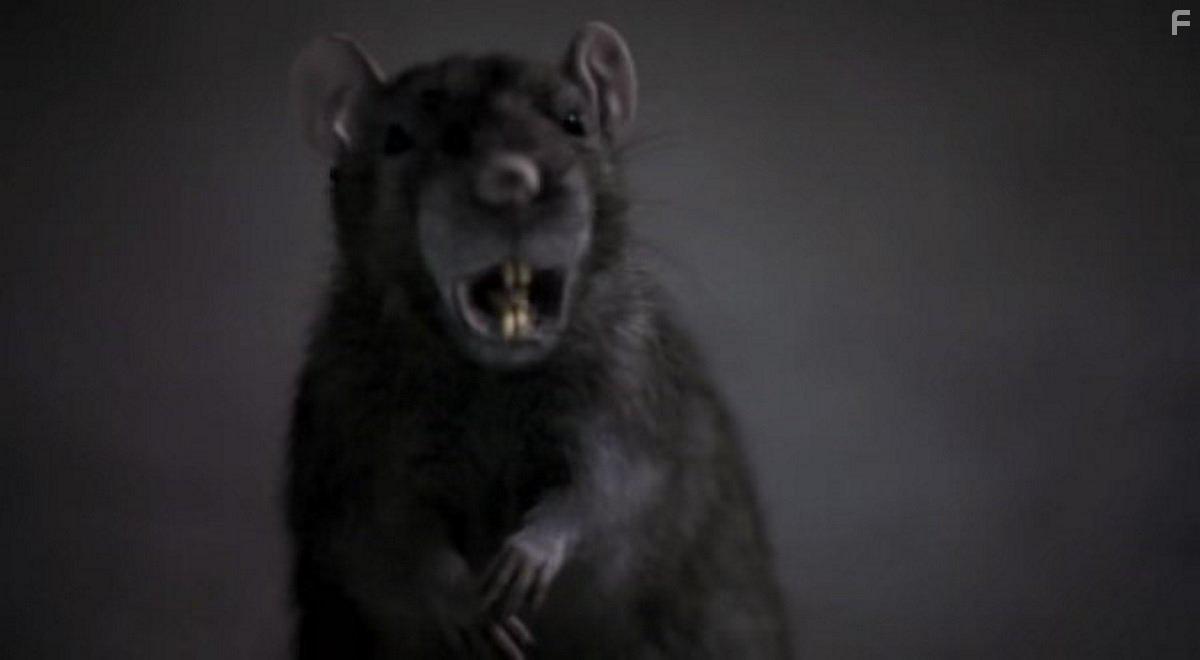 The Rats (2002)