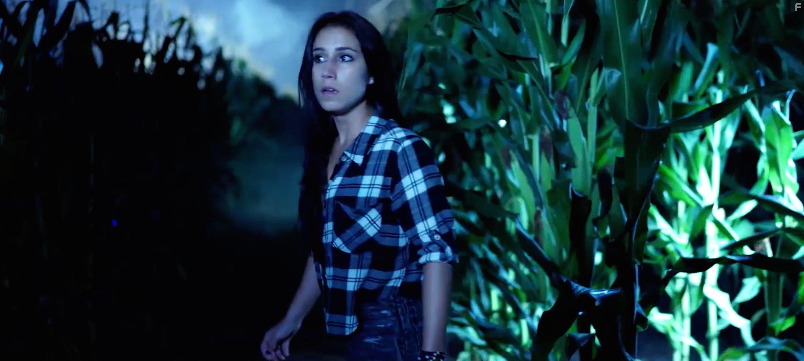 Nicole Dambro in Pitchfork (2016)