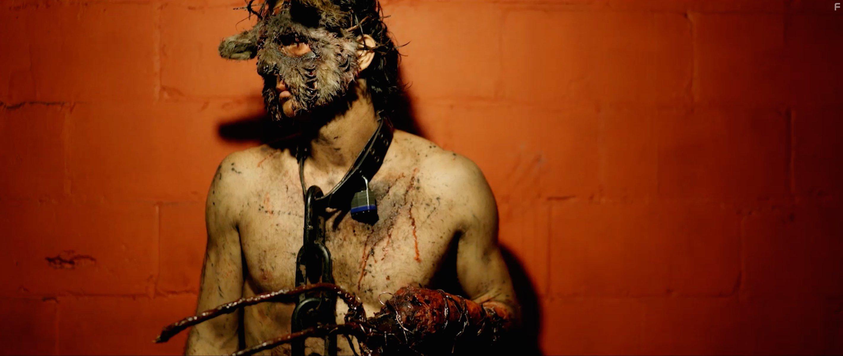 Daniel Wilkinson in Pitchfork (2016)