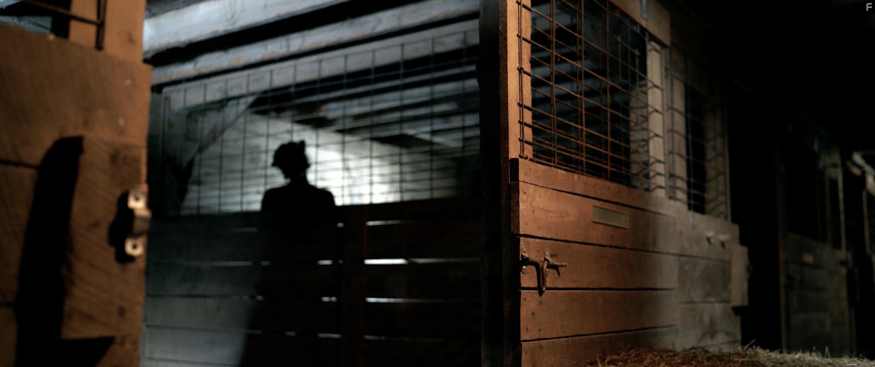 Daniel Wilkinson in Pitchfork (2016)