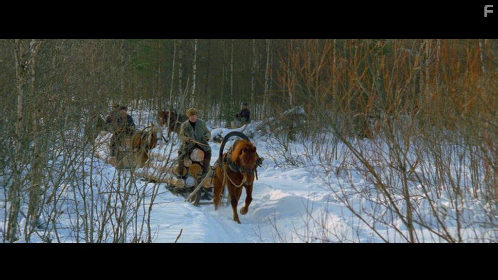 Собачий коготь #1