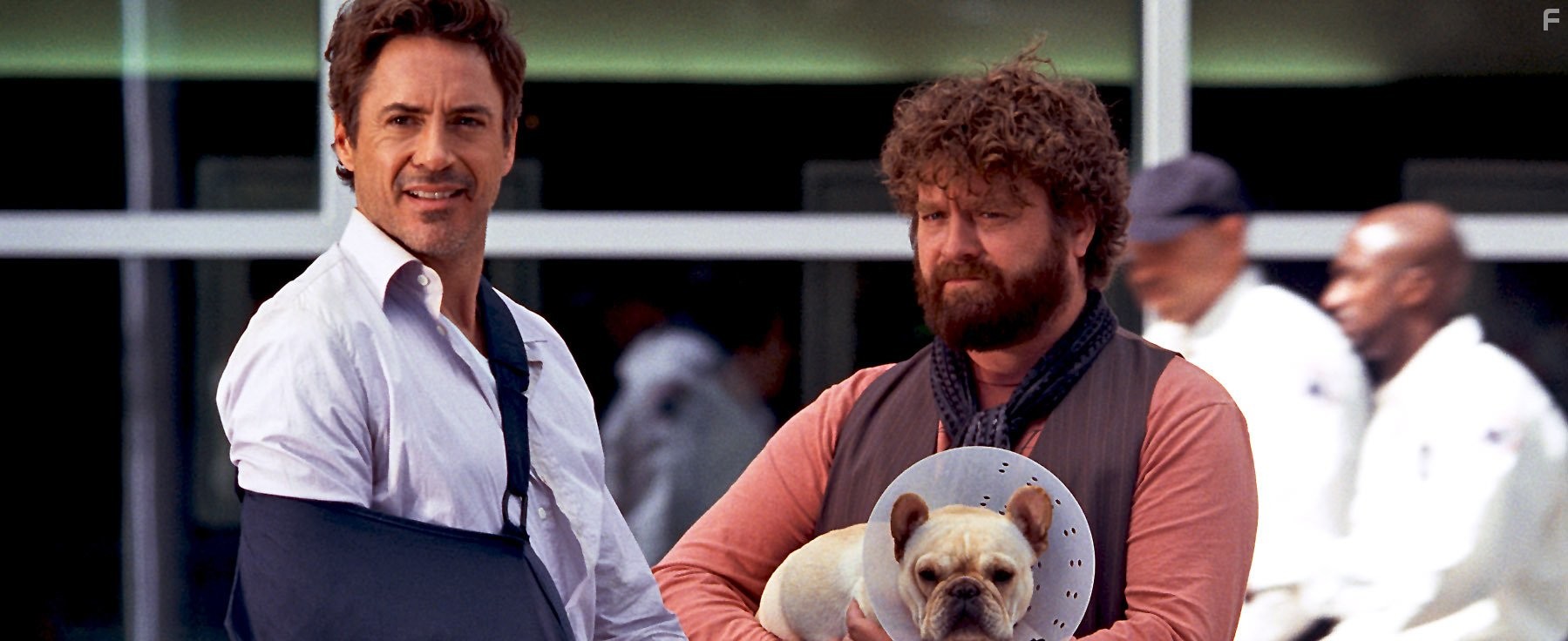 Robert Downey Jr. and Zach Galifianakis in Впритык (2010)