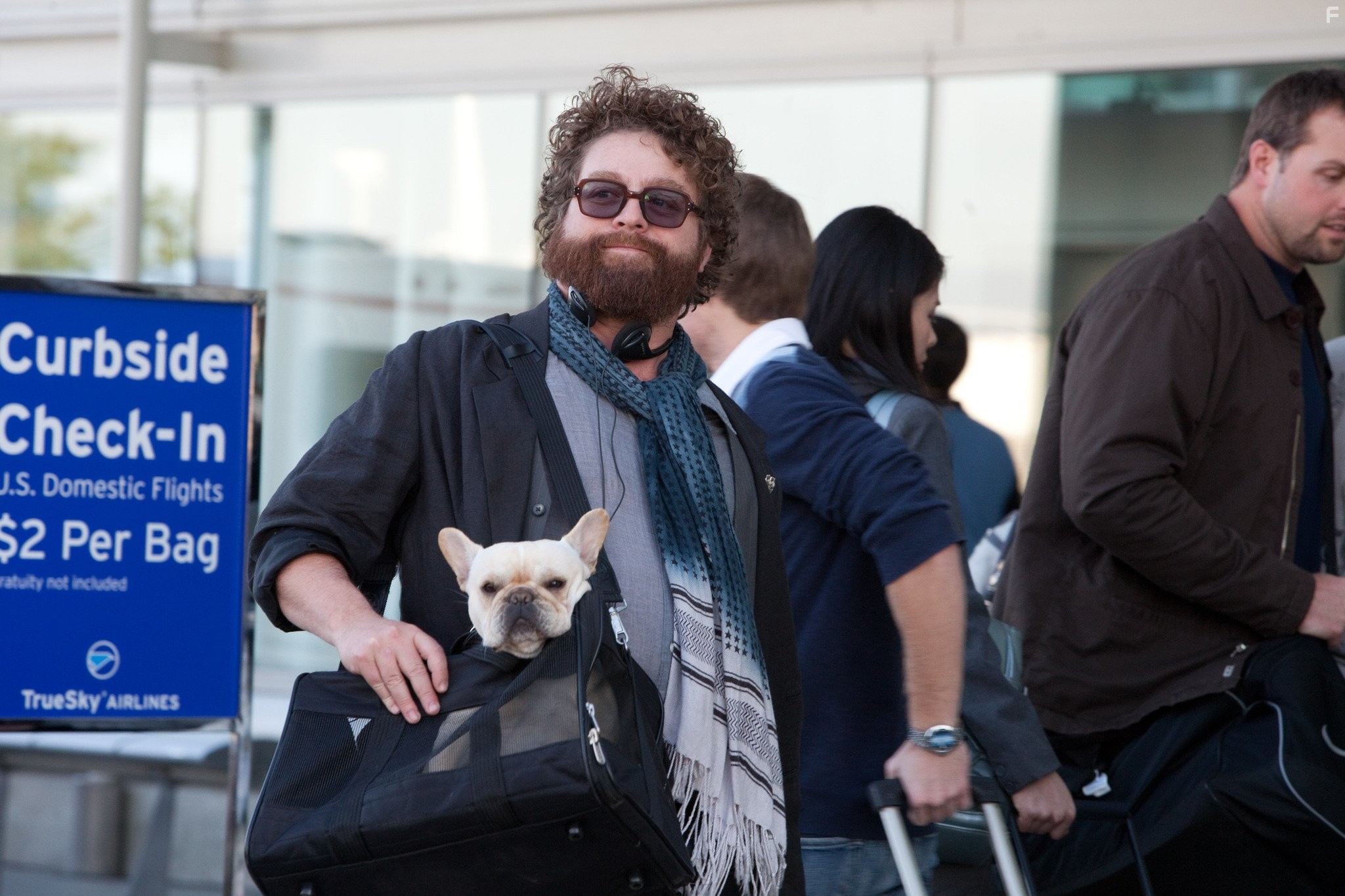 Zach Galifianakis in Впритык (2010)