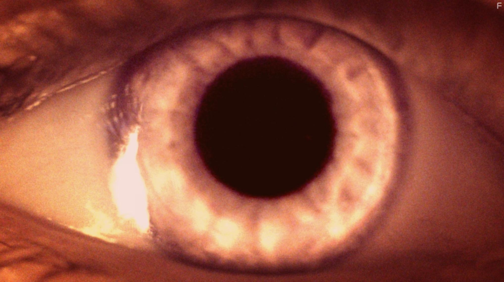 Производители солнечного света #2