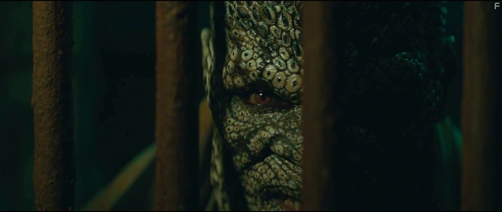 Adewale Akinnuoye-Agbaje in Отряд самоубийц (2016)