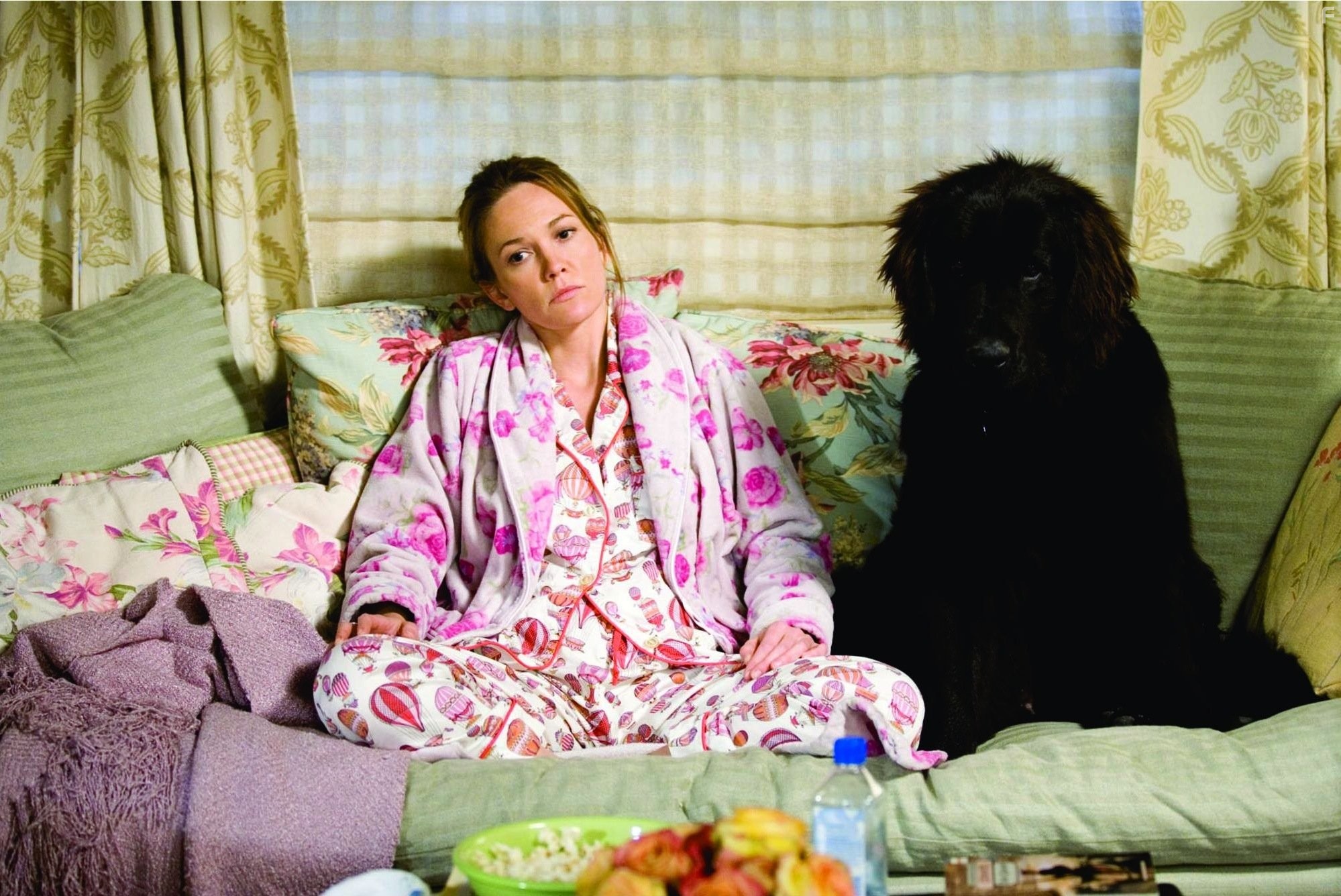 Diane Lane in Любовь к собакам обязательна (2005)