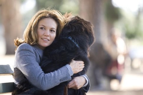 Diane Lane in MUST LOVE DOGS.