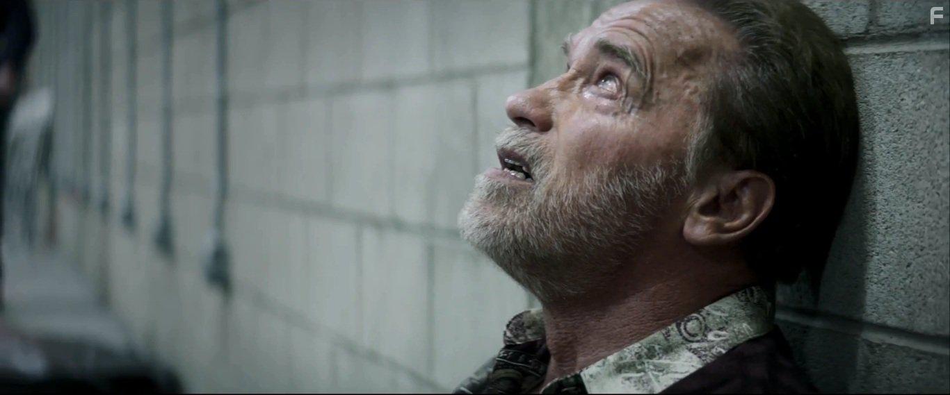 Arnold Schwarzenegger in Aftermath (2017)