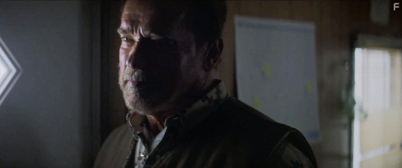 Arnold Schwarzenegger in Aftermath (2017)