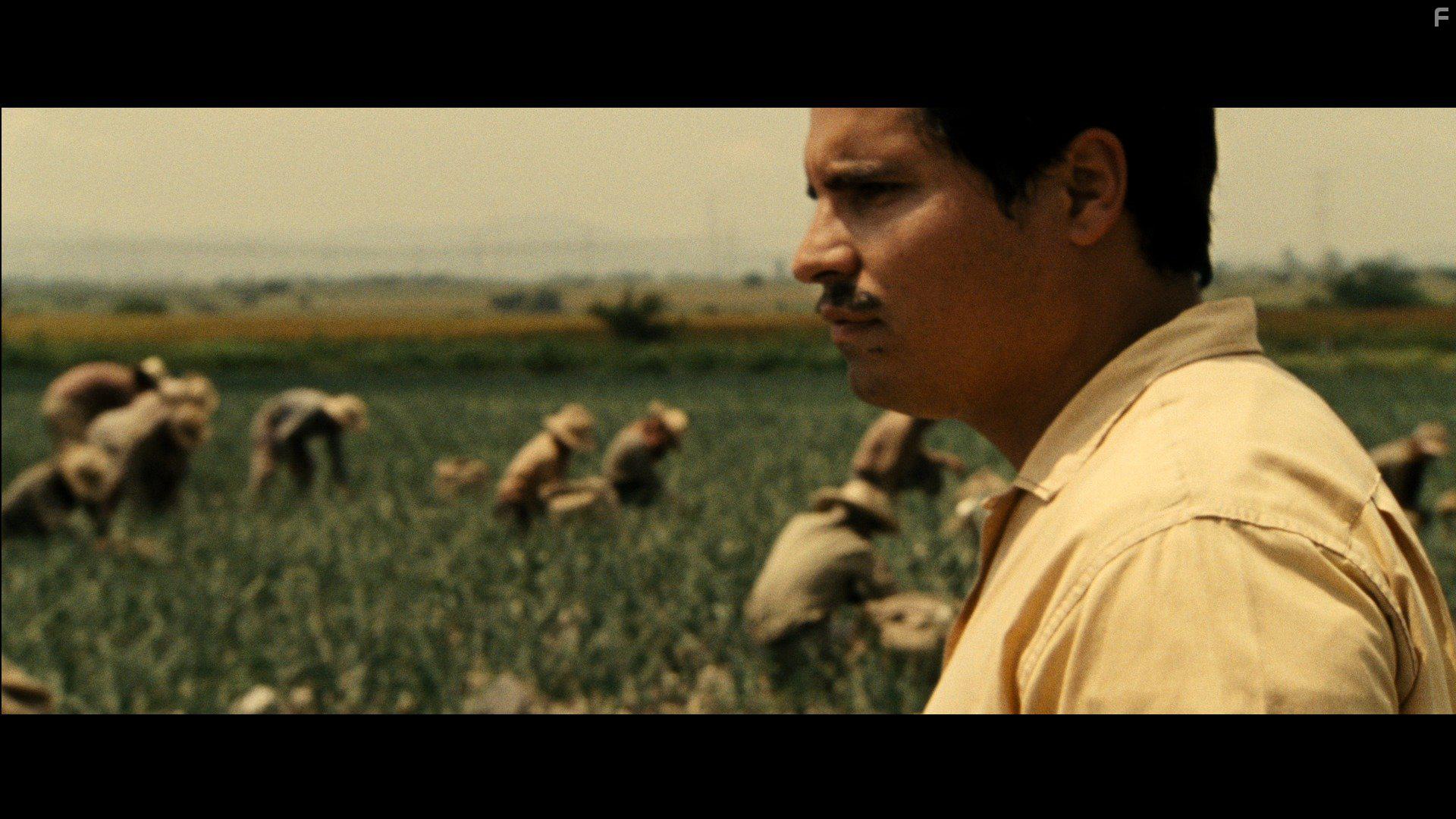 Michael Pea in Cesar Chavez (2014)