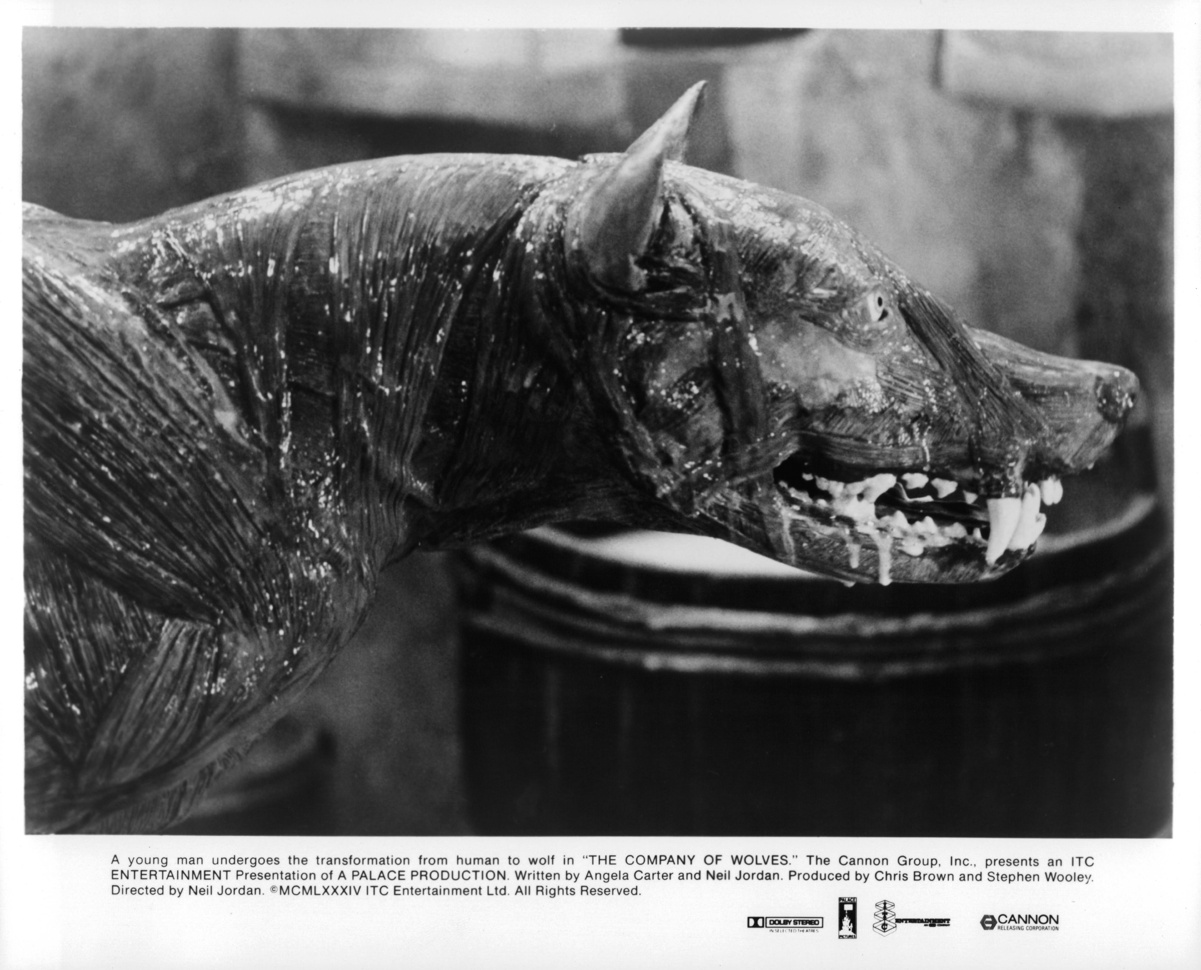 B кoмпании волков (1984)