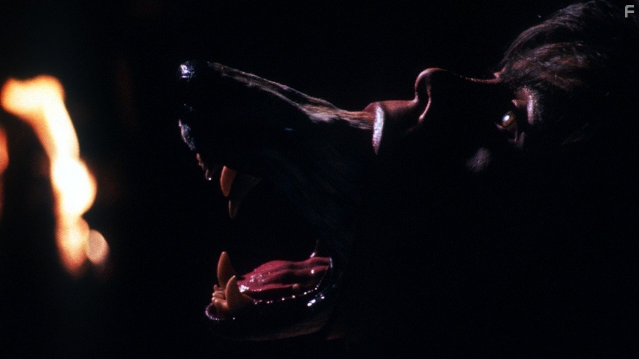 B кoмпании волков (1984)