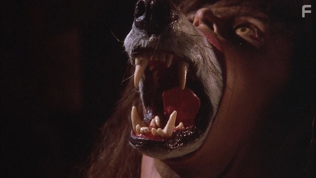 B кoмпании волков (1984)