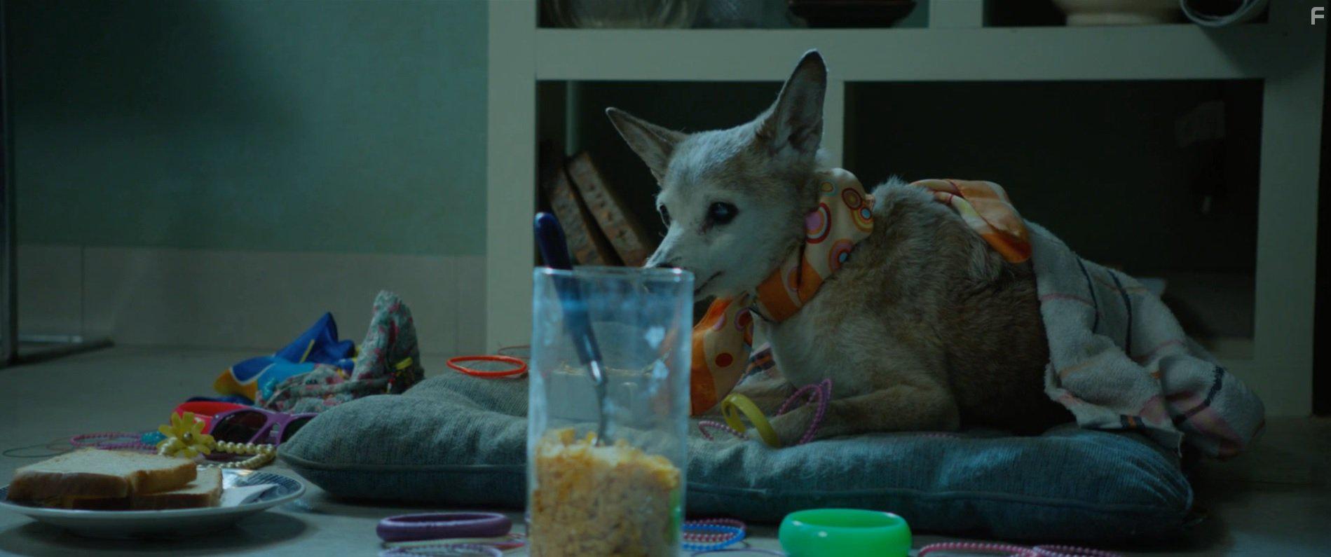 Al final del tnel (2016)