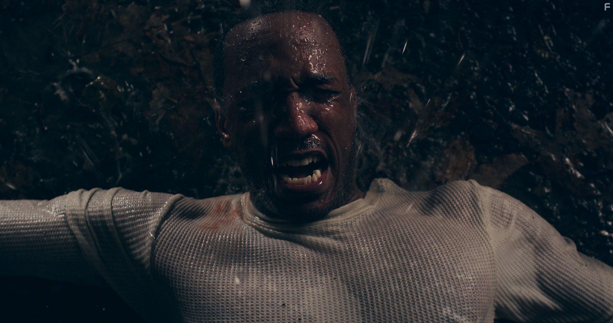 Duane Nakia Cooper in Seclusion (2015)