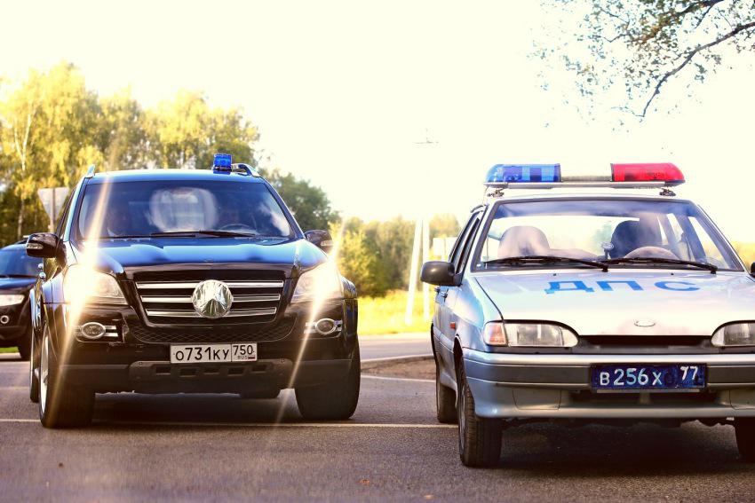 Свидетели #10