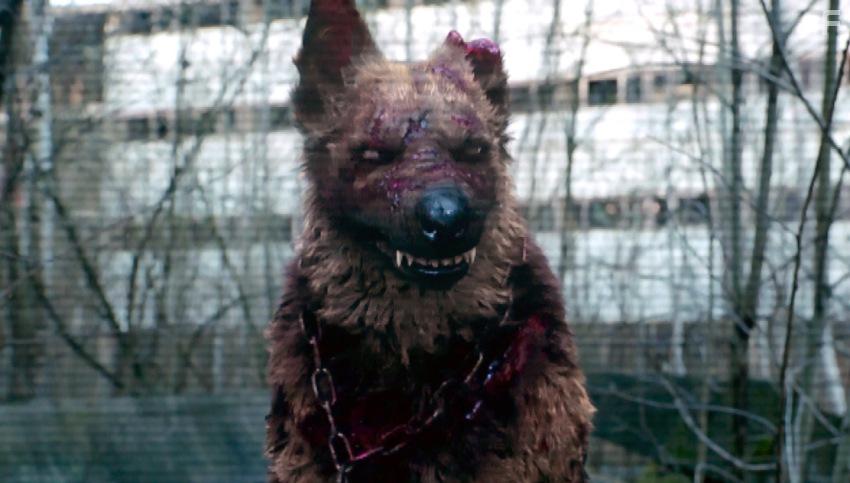 Чернобыль: Зона отчуждения #4