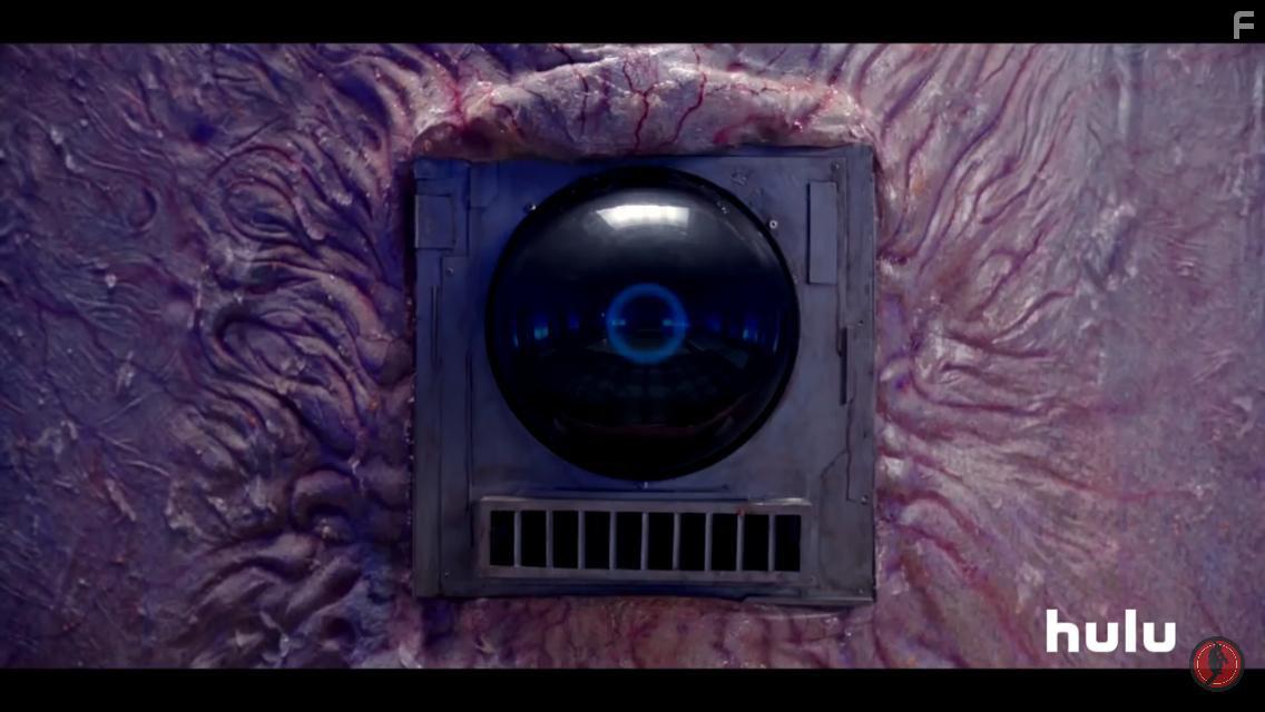 Dimension 404 (2017)