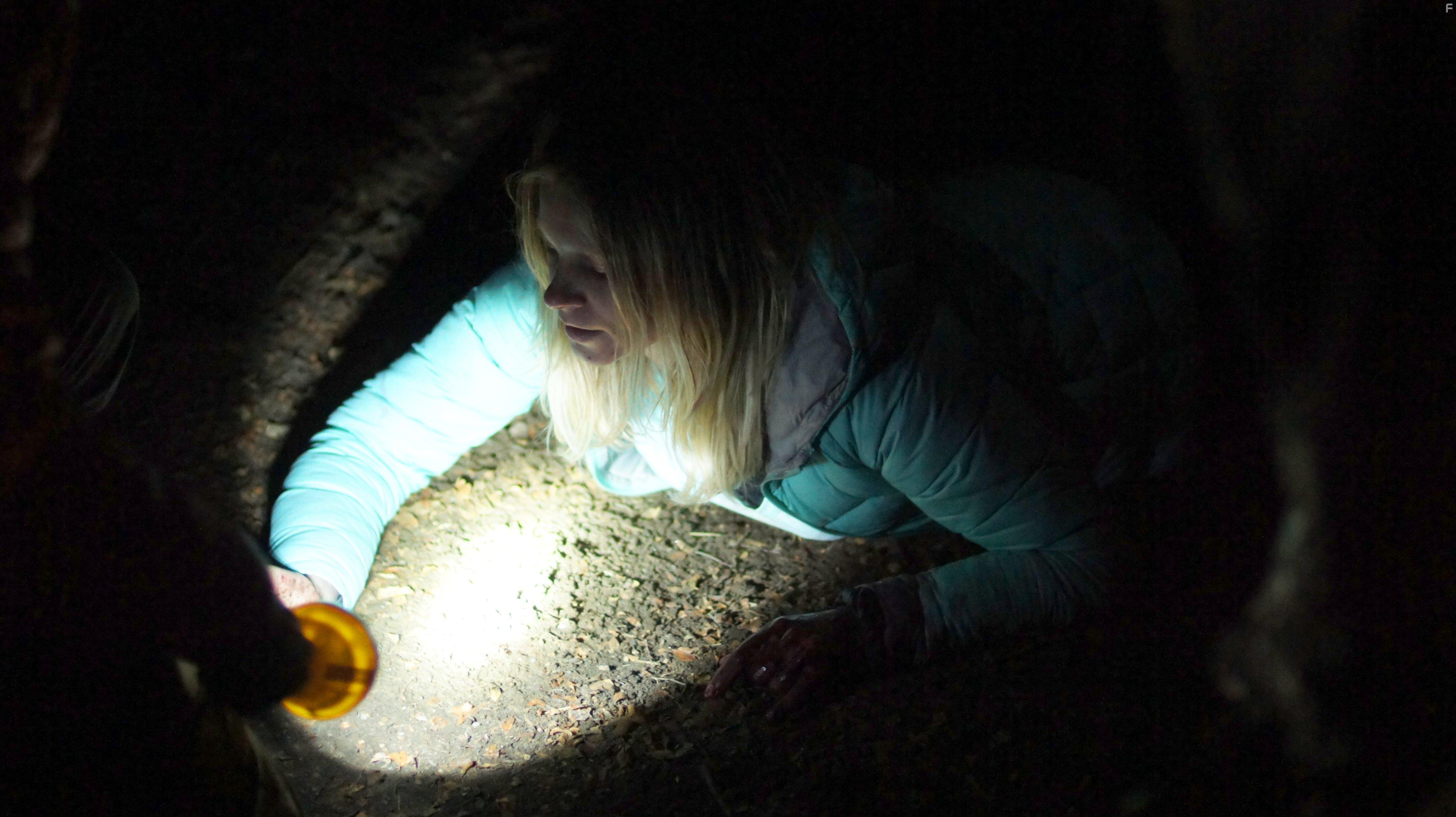 Ignacia Allamand in Downhill (2016)