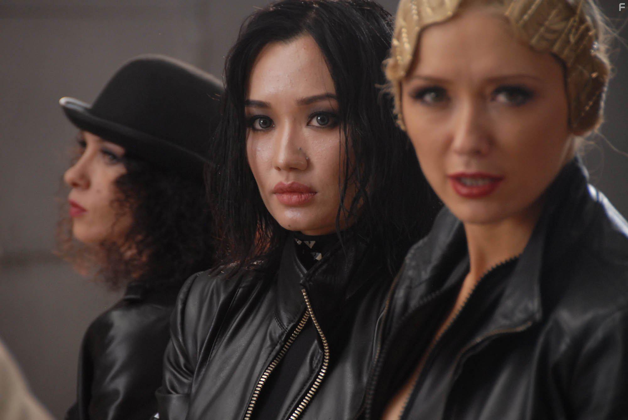 Diamond Cartel (2017)