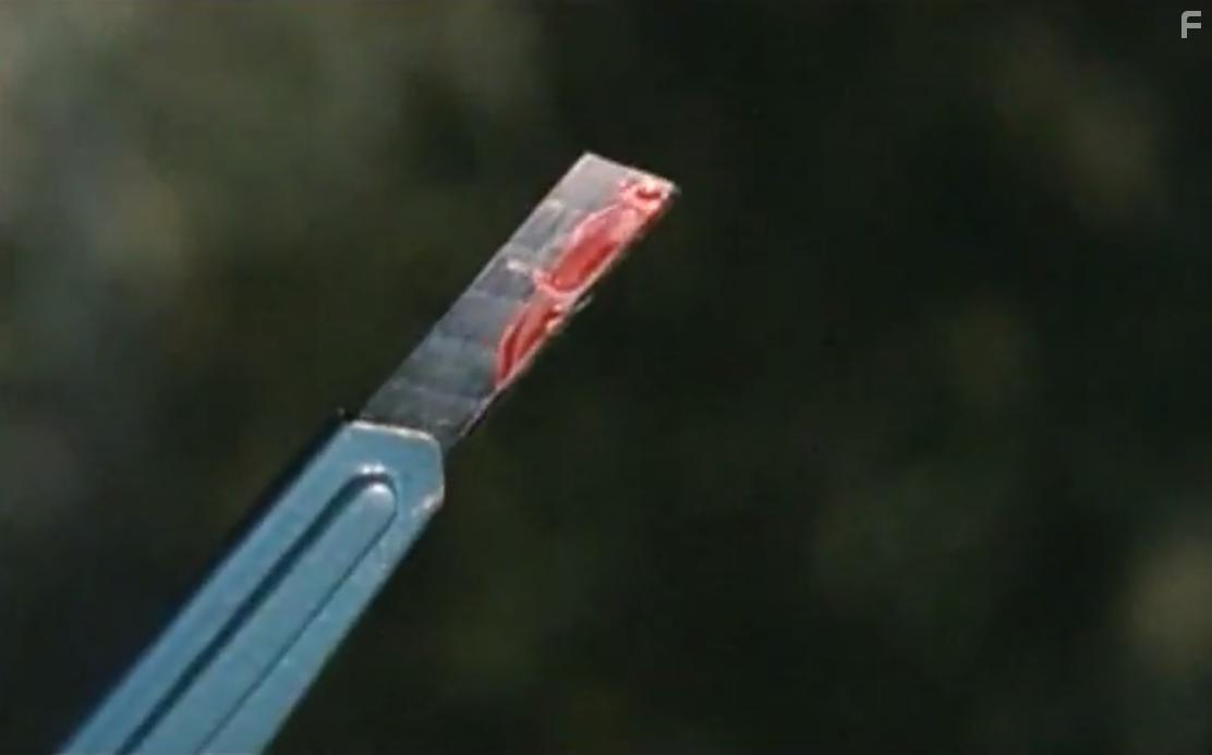 La casa con la scala nel buio (1983)