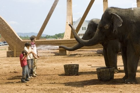 Jimmy Bennett, Graham Phillips, and Johnny Simmons in Эван Всемогущий (2007)