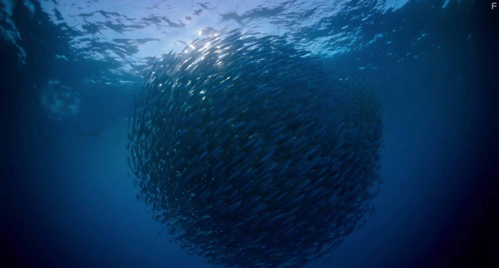 Voyage of Time: Life's Journey (2016)