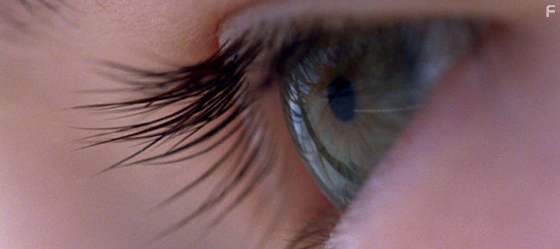 Voyage of Time: Life's Journey (2016)