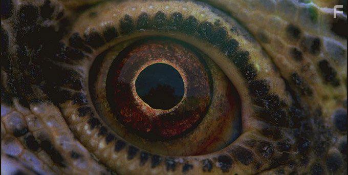 Voyage of Time: Life's Journey (2016)