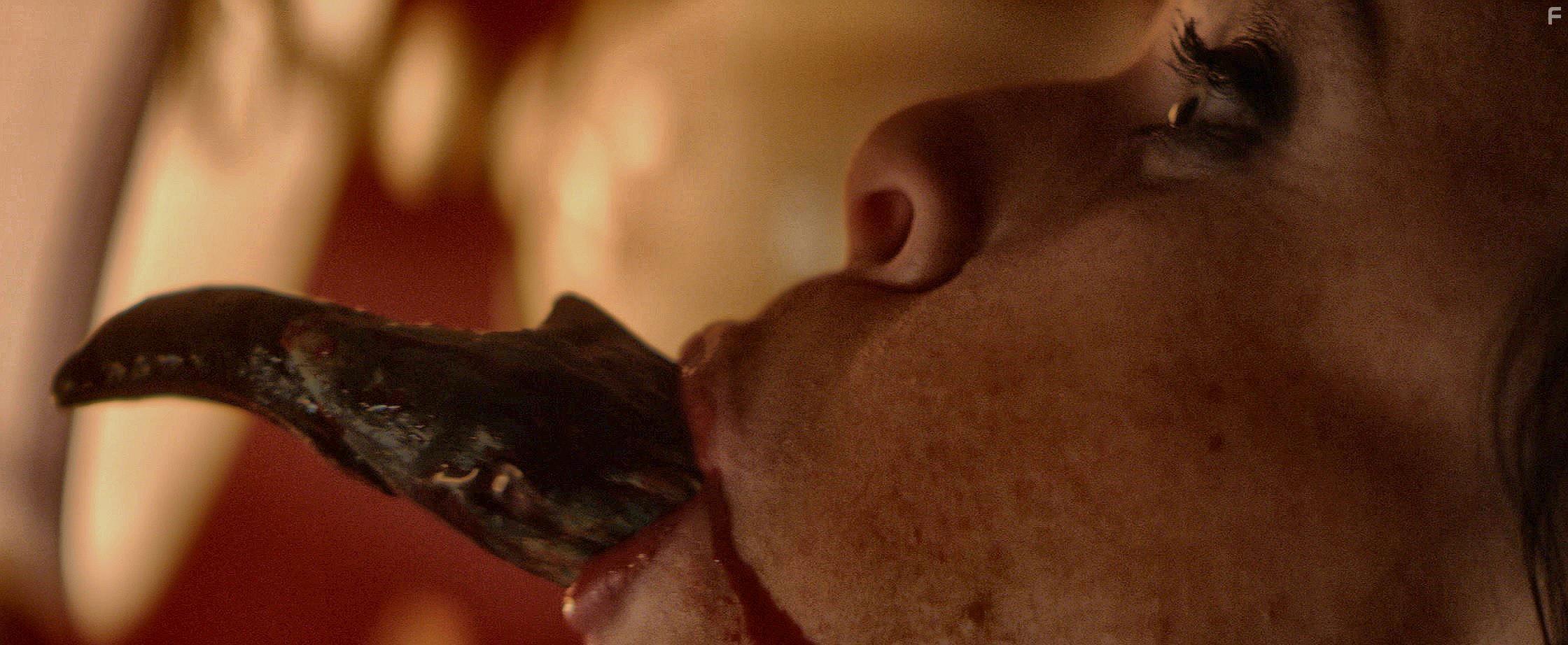 The Black Room (2016)