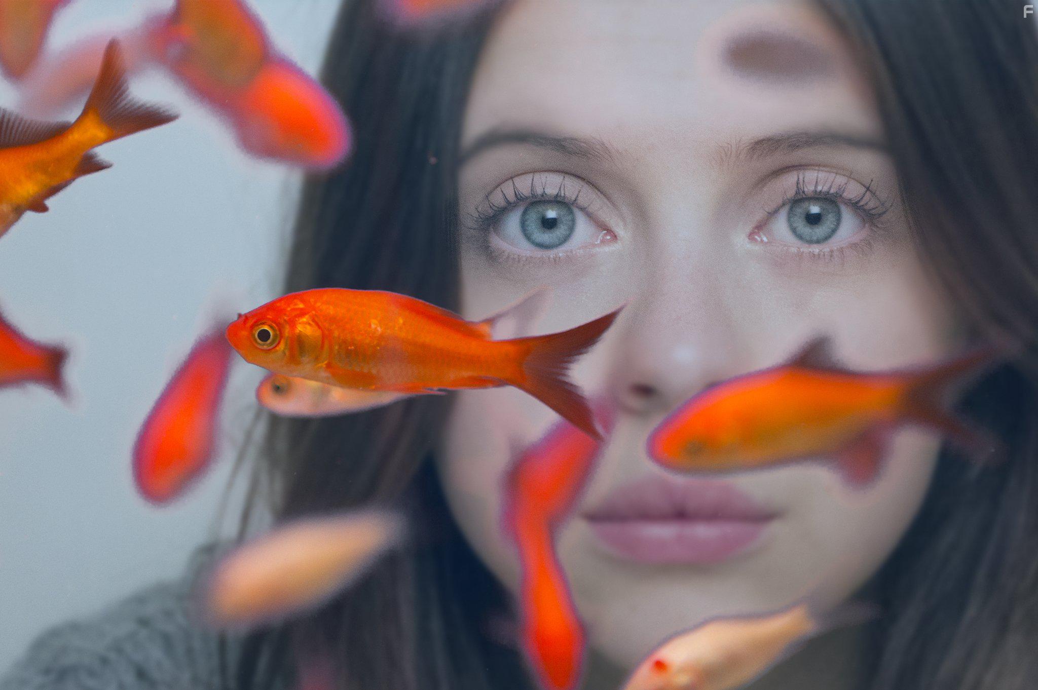 Bel Powley in Carrie Pilby (2016)
